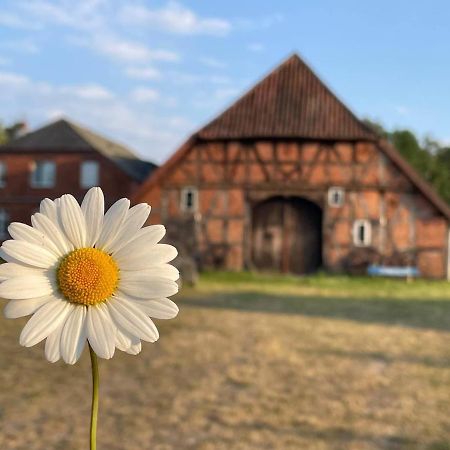 Ferienwohnung Elbsegler Bleckede Exteriör bild