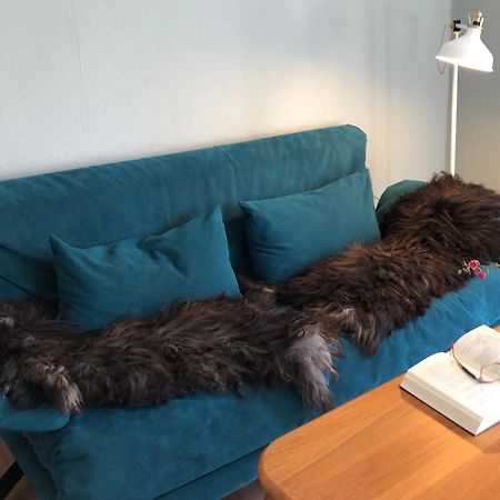Ferienwohnung Elbsegler Bleckede Exteriör bild