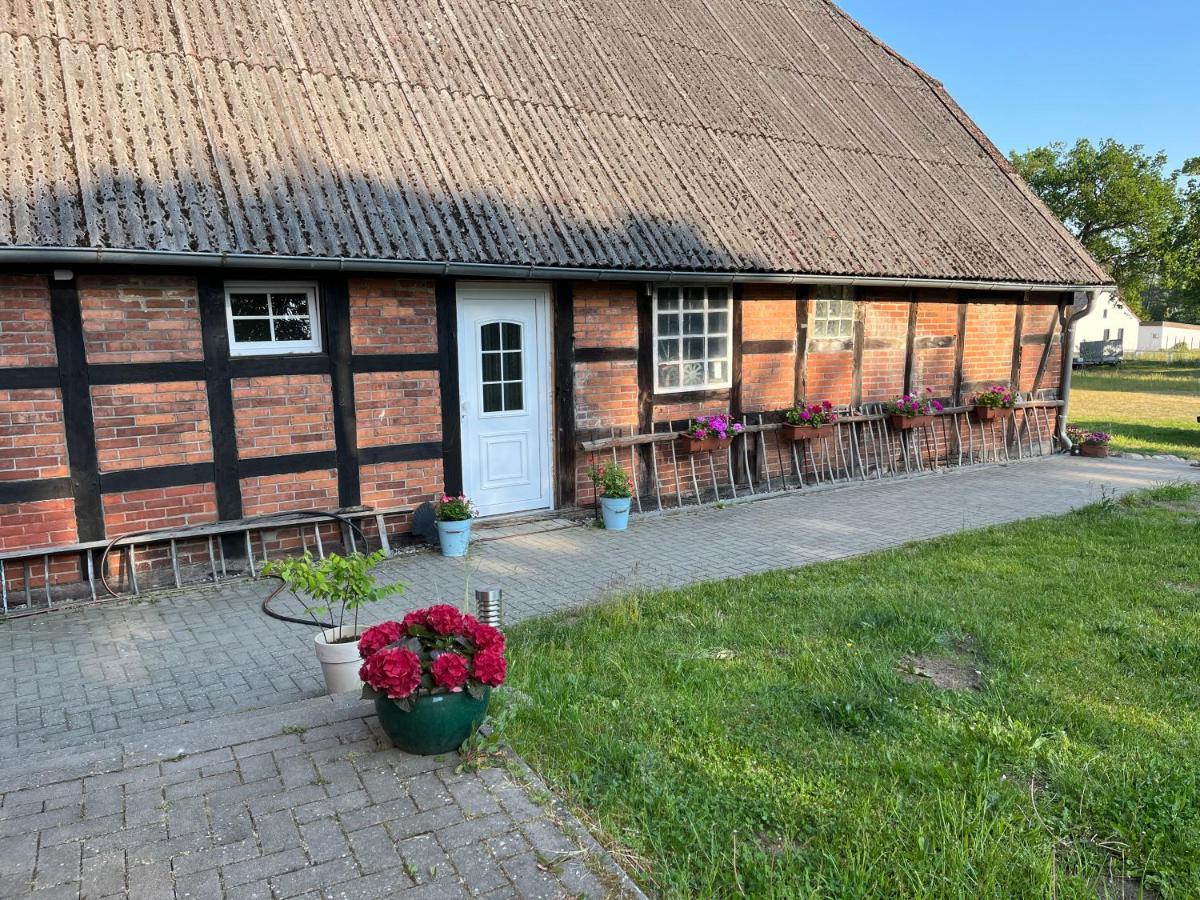 Ferienwohnung Elbsegler Bleckede Exteriör bild