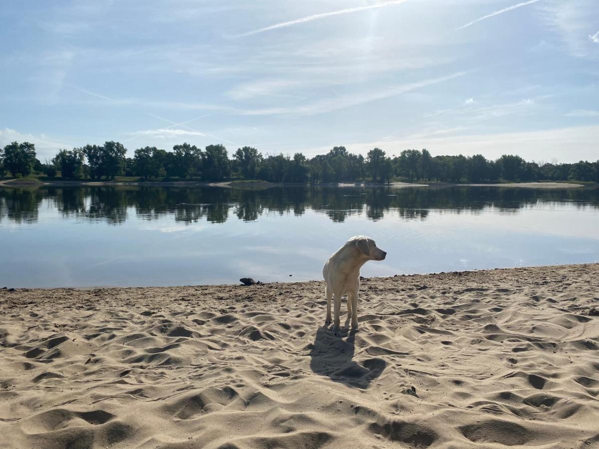 Ferienwohnung Elbsegler Bleckede Exteriör bild