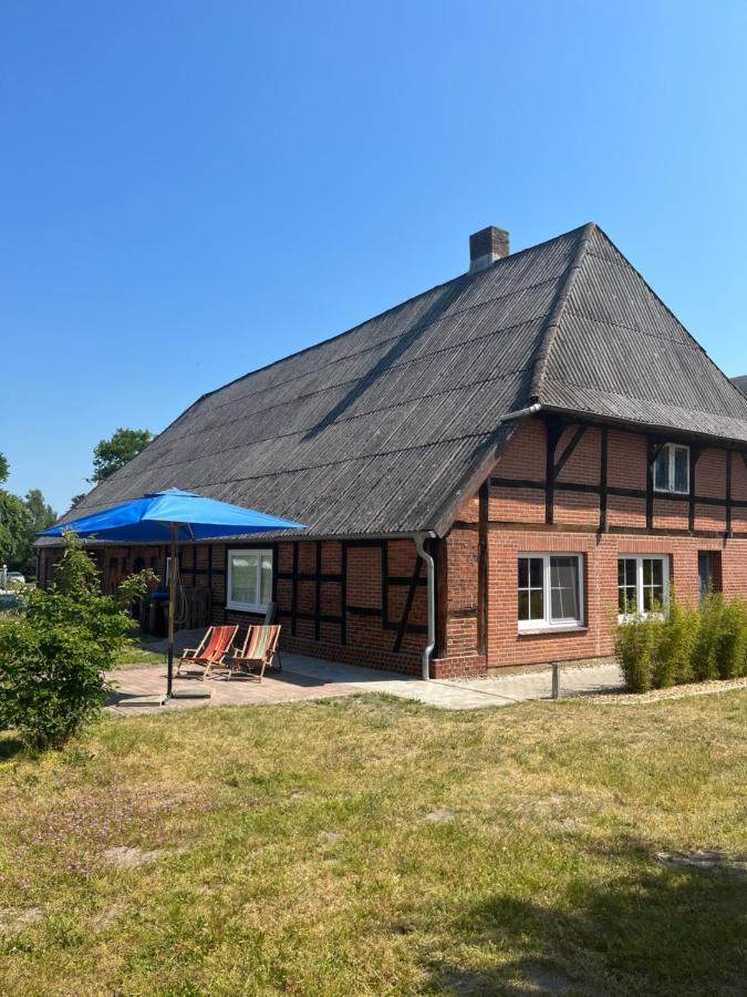 Ferienwohnung Elbsegler Bleckede Exteriör bild