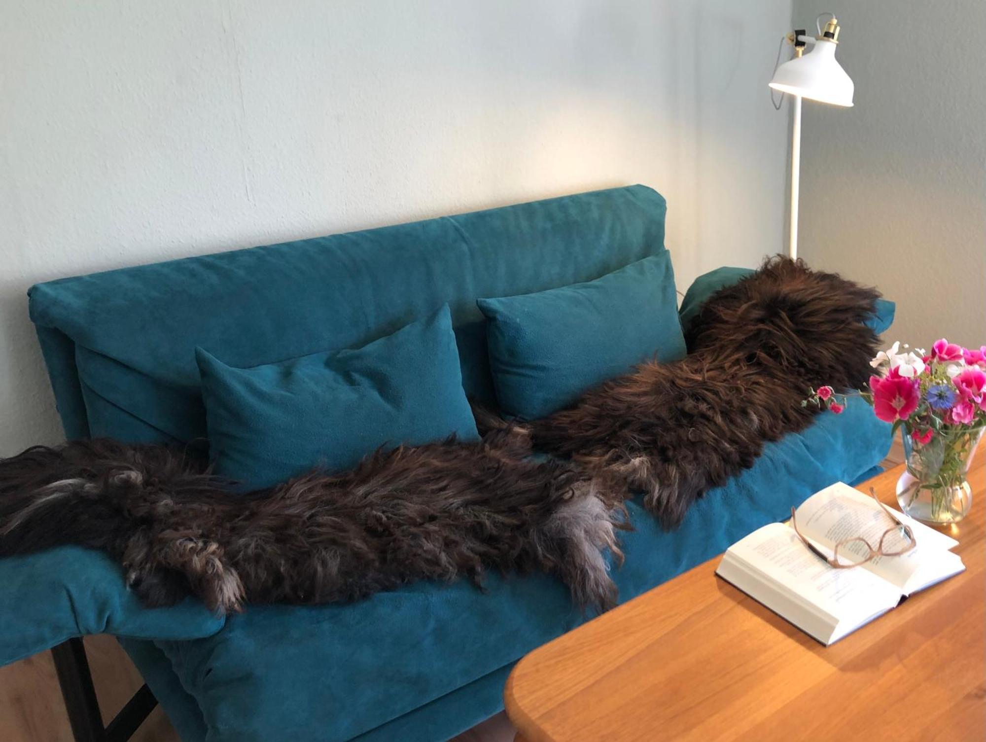 Ferienwohnung Elbsegler Bleckede Exteriör bild