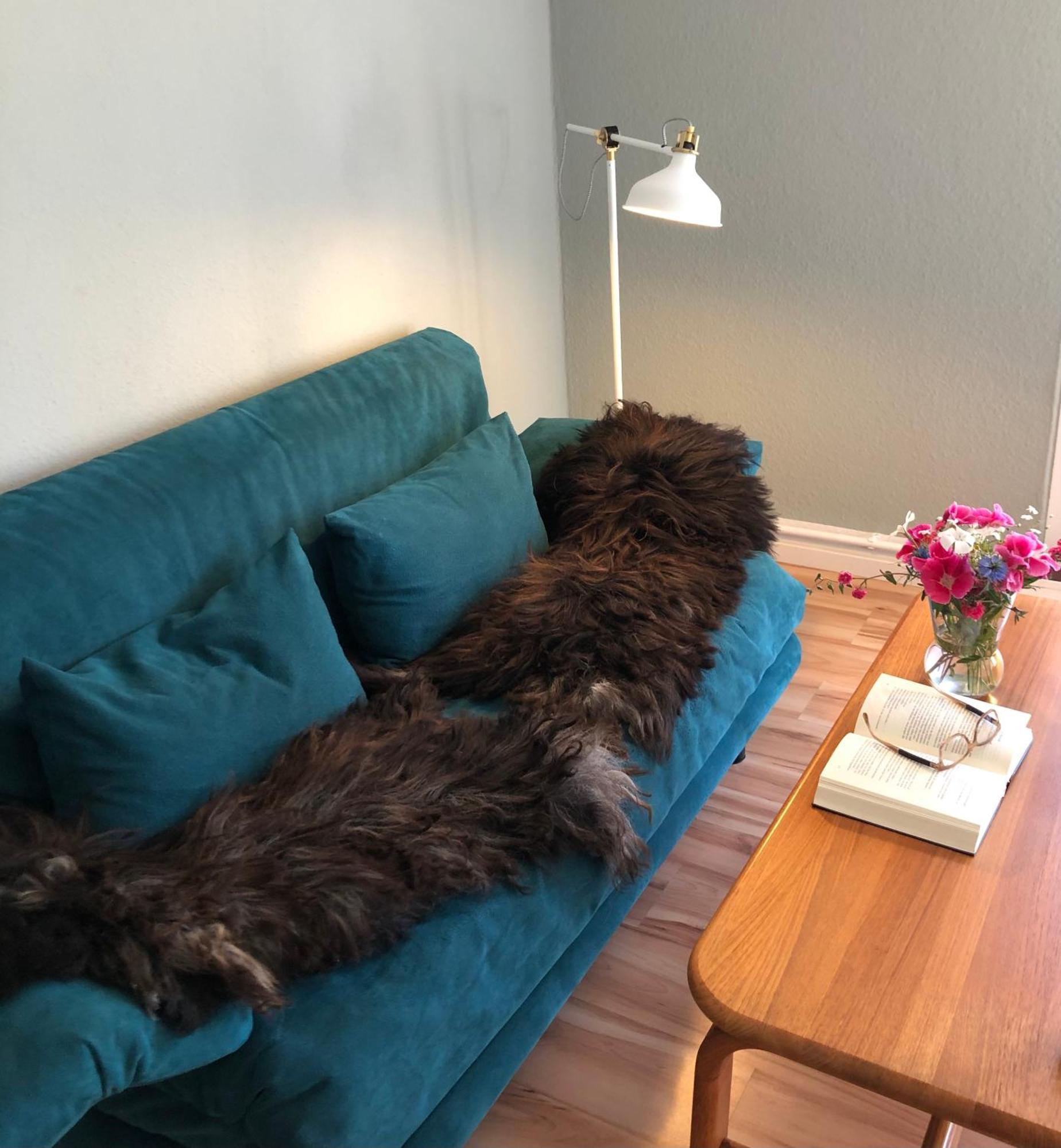 Ferienwohnung Elbsegler Bleckede Exteriör bild