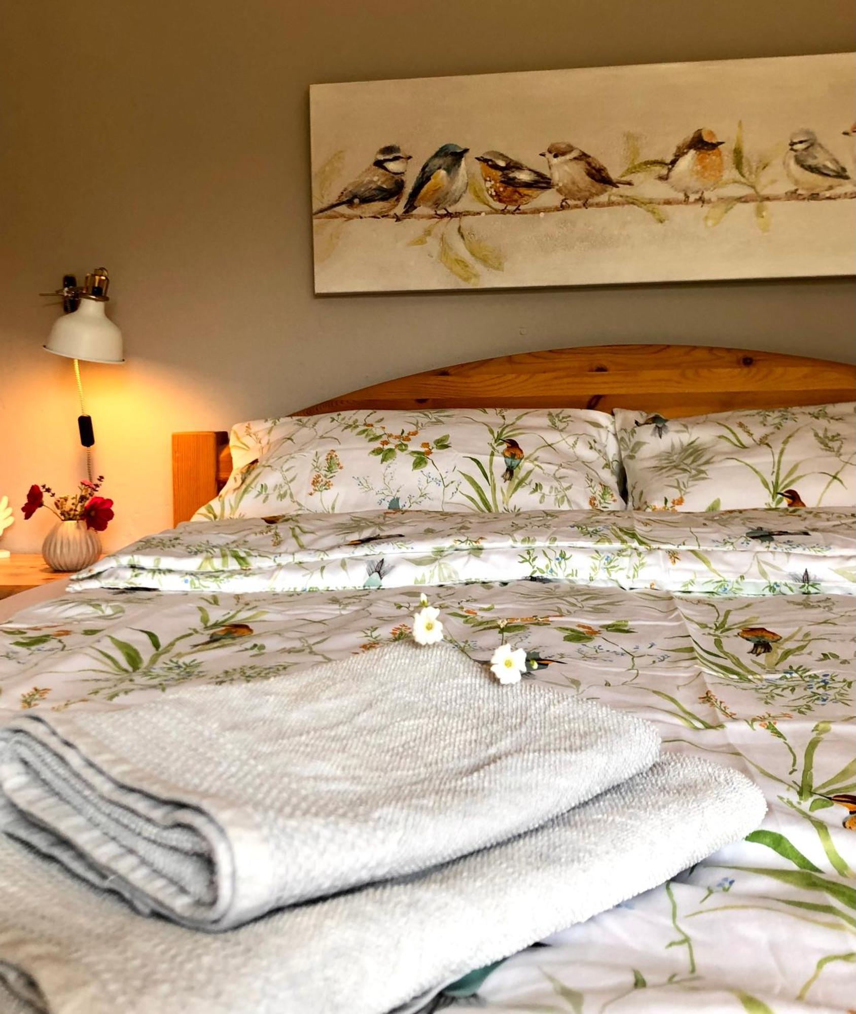 Ferienwohnung Elbsegler Bleckede Exteriör bild
